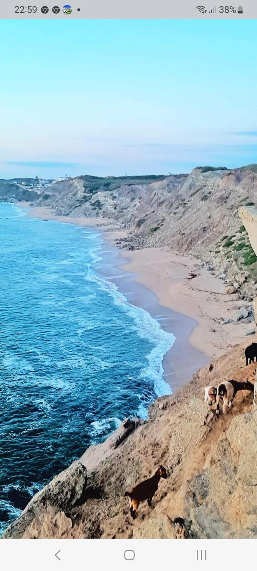 Casa Do Portao Azul - Espadarte Atouguia Da Baleia Bagian luar foto